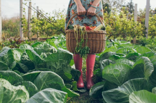 woman standing in garden holding a basket of vegetables