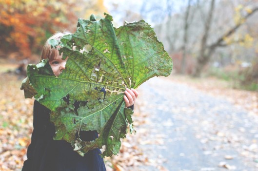 little girl hides behind big leaf