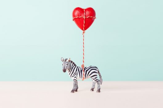 Zebra toy holding a red heart balloon