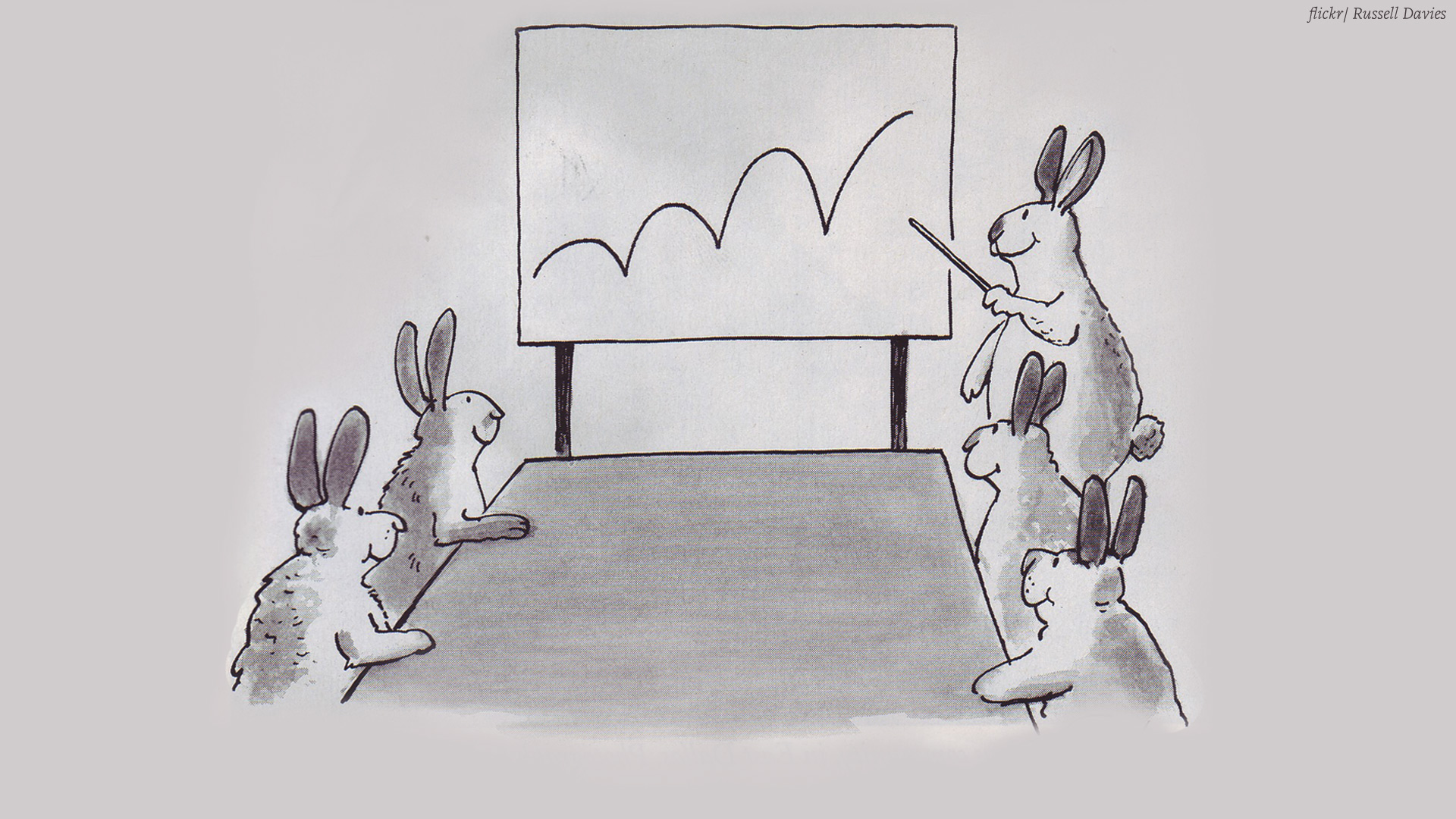 Bunnies making a presentation